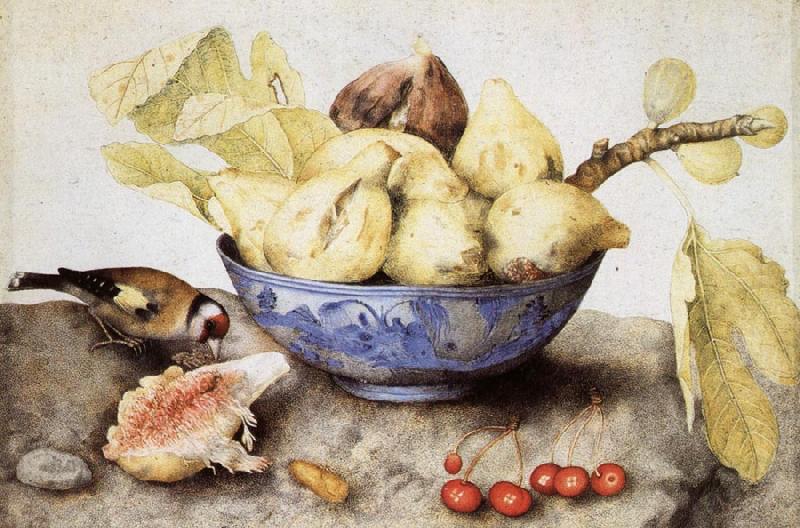 Giovanna Garzoni Chinese Cup with Figs,Cherries and Goldfinch oil painting image